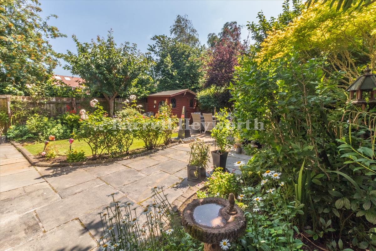 Garden image 6