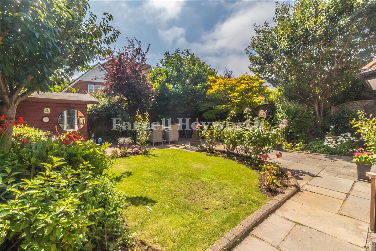 Garden image 7