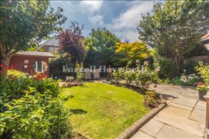 Garden image 7