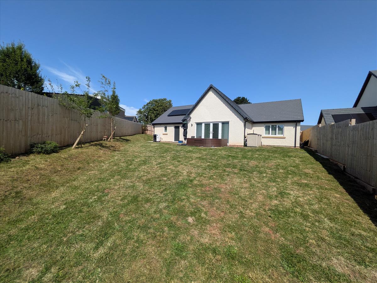 Rear External
