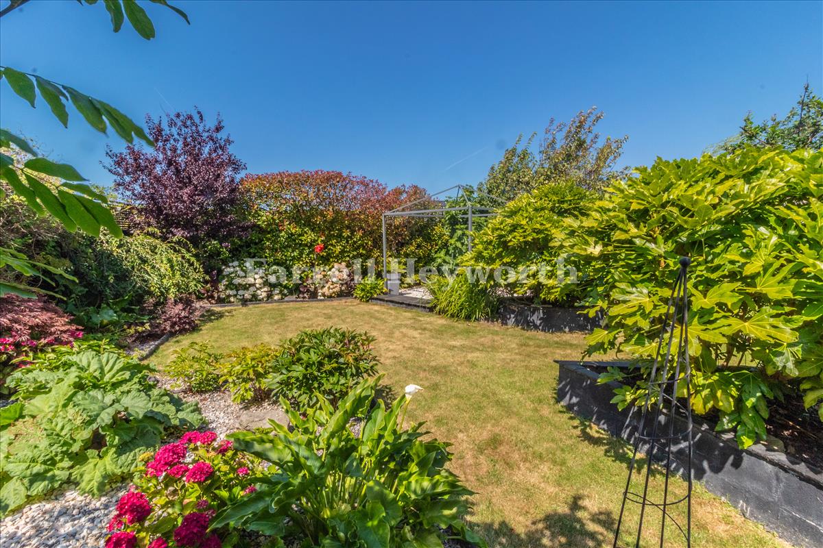 Rear Garden image 5