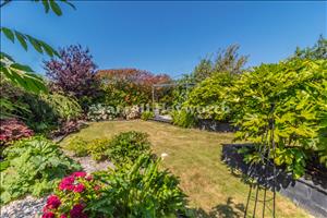 Rear Garden image 5