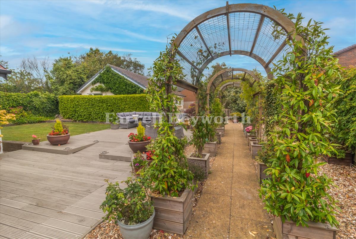 Rear Garden image 5