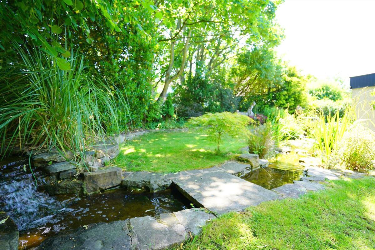 Water Feature