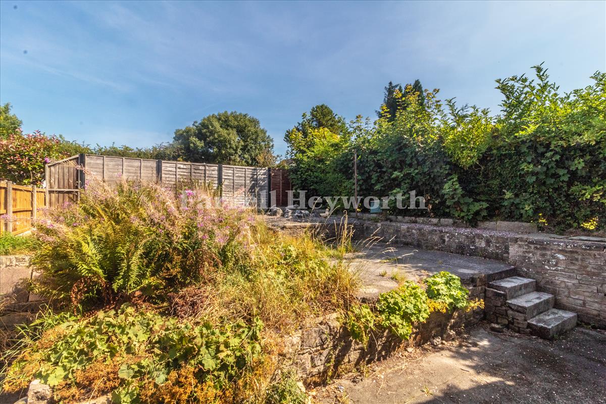 Rear Garden image 2