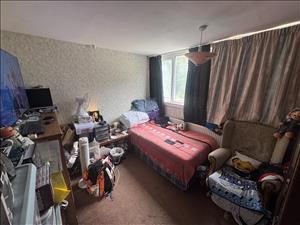 Image00005