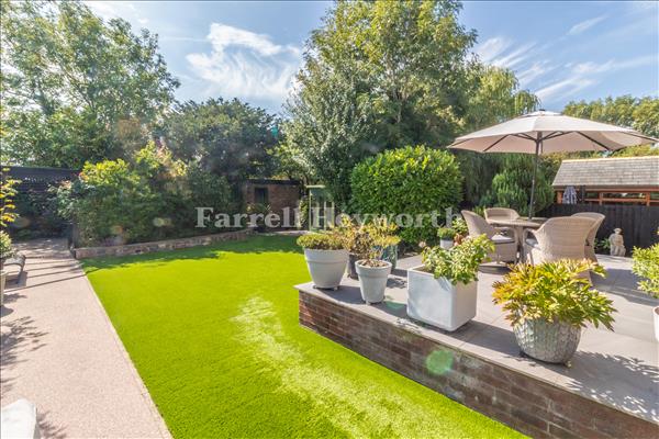 Garden image 6