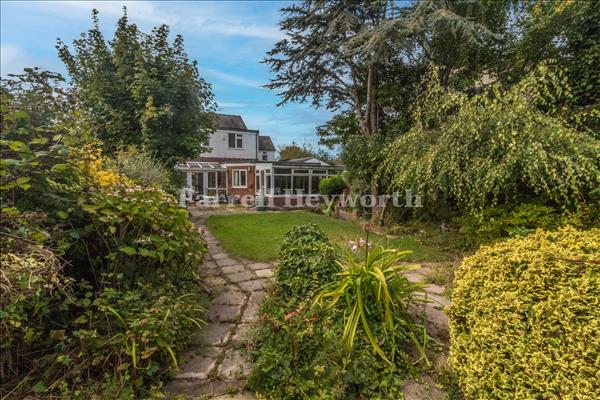 Garden image 2