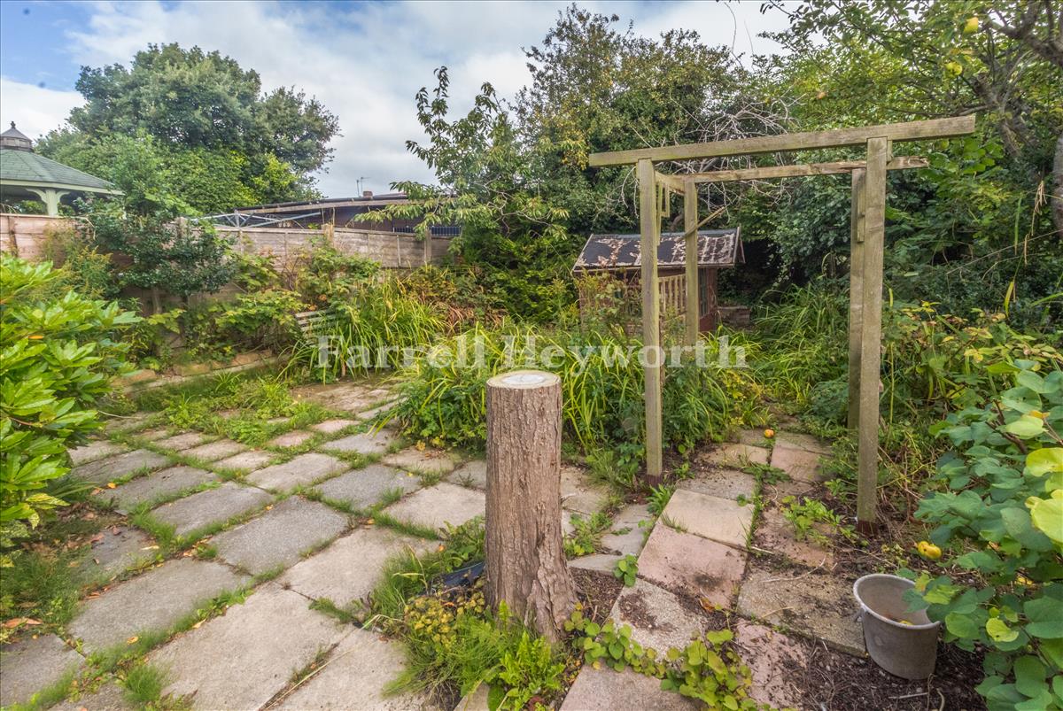 Garden image 3
