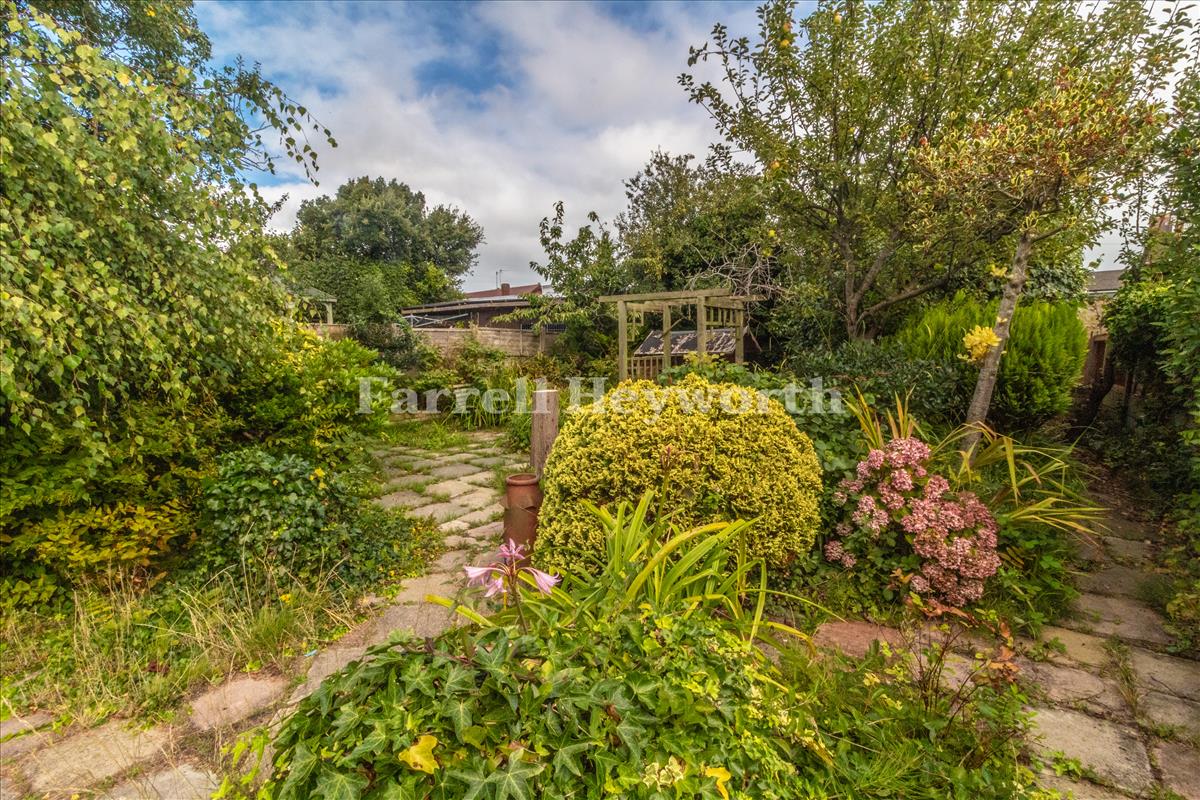 Garden image 4