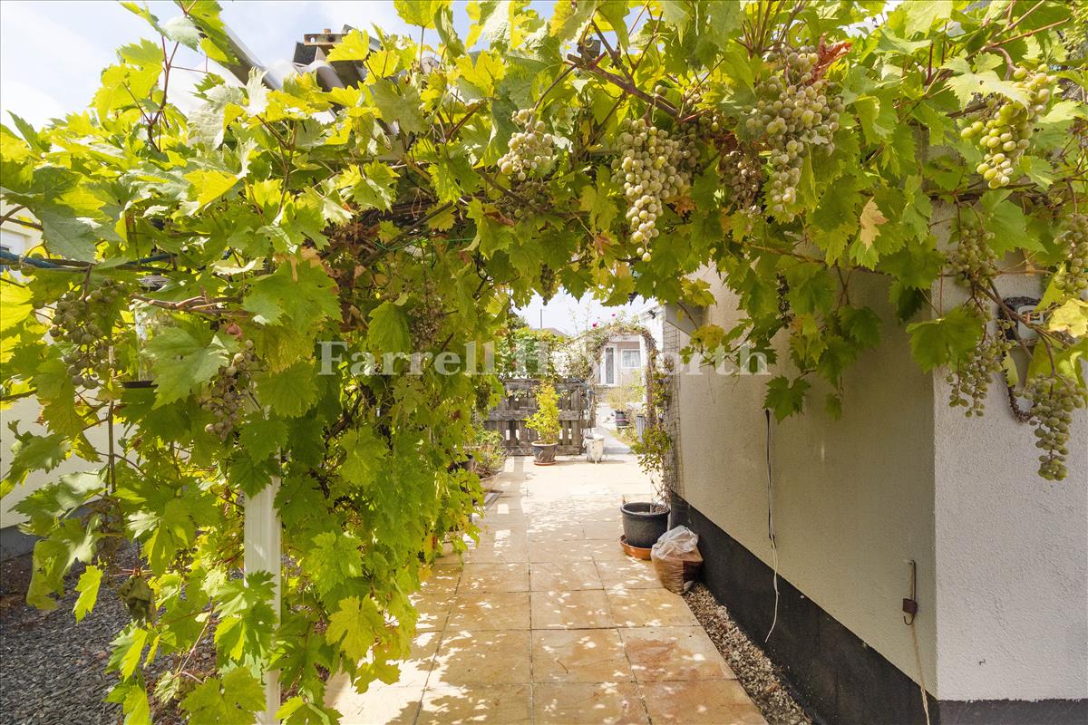 Rear Garden 3