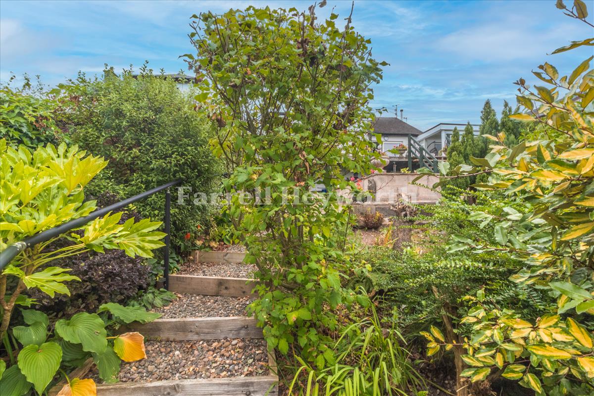 Garden image 2
