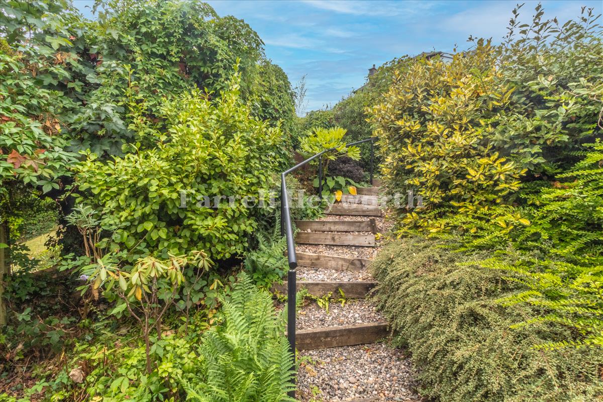 Garden image 3