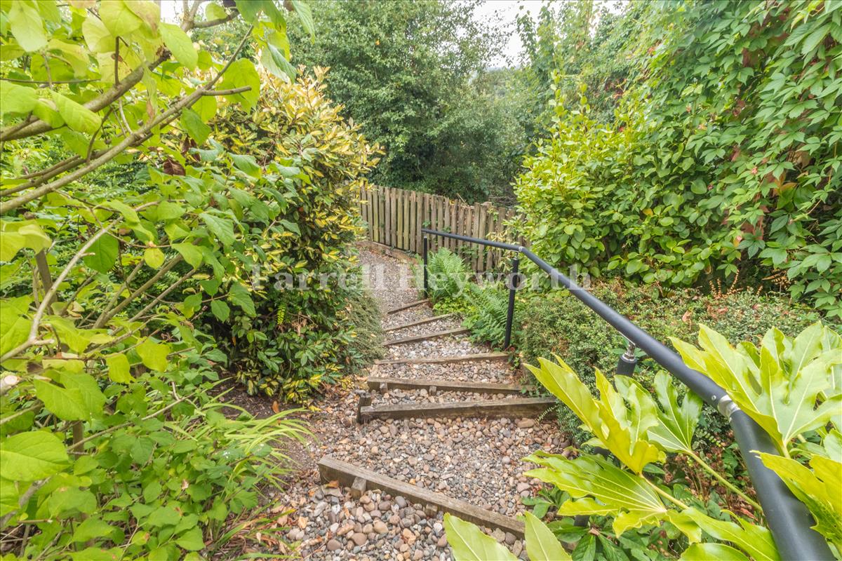 Garden image 4