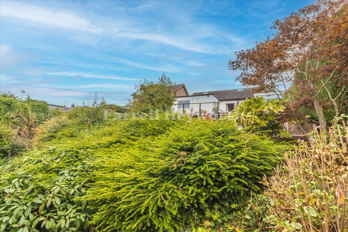 Garden image 5