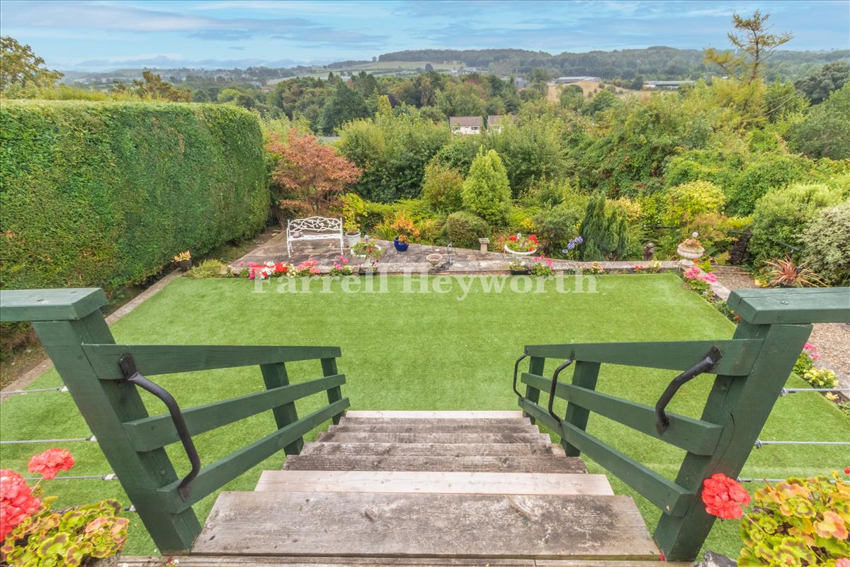 Garden image 7