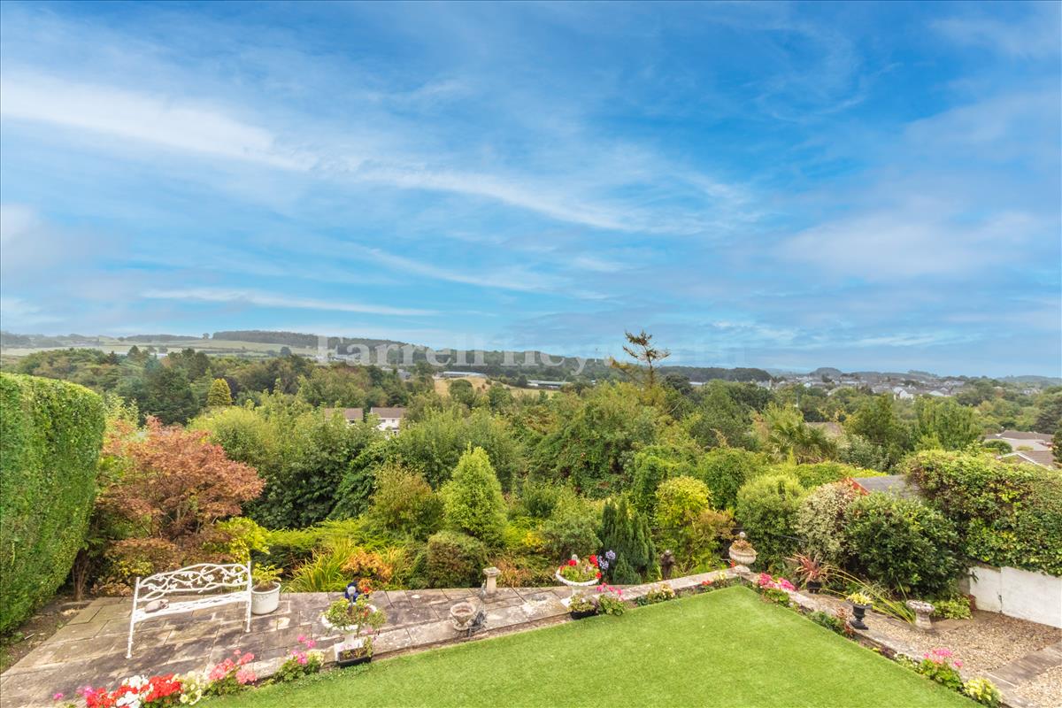 Garden image 8