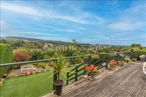 Garden image 9
