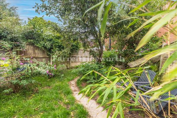 Garden image 2