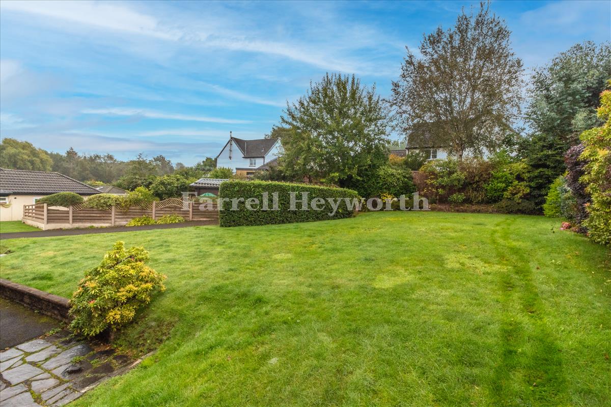 Garden image 2