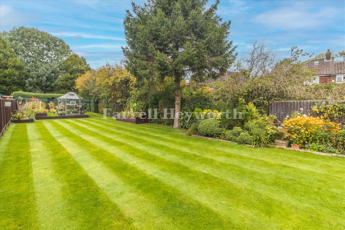 Garden image 4