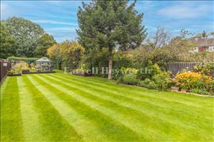 Garden image 4