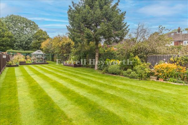 Garden image 4